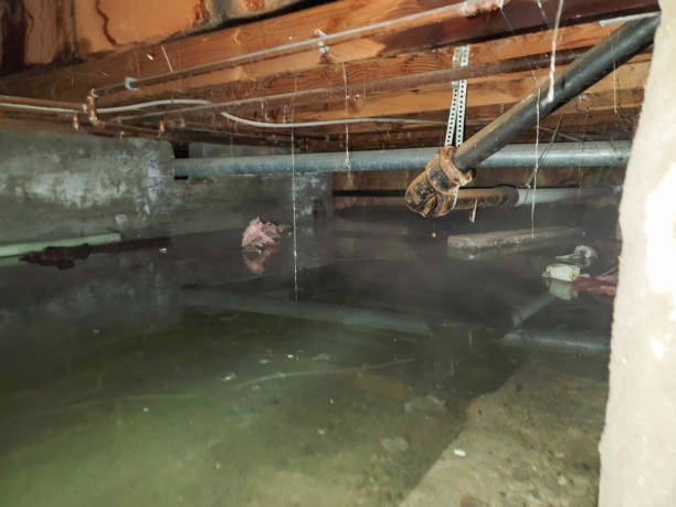 Best Residential water damage restoration  in San Jacinto, CA