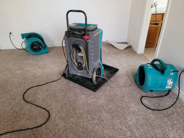 Best 24-hour water damage restoration  in San Jacinto, CA