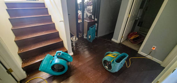 Best Basement water damage restoration  in San Jacinto, CA