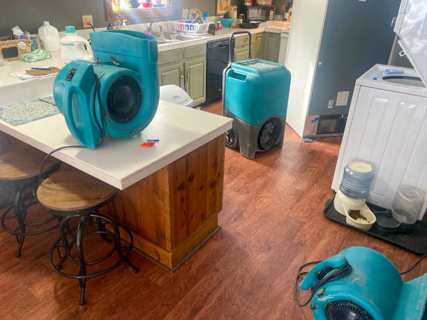Best Water damage cleanup near me  in San Jacinto, CA
