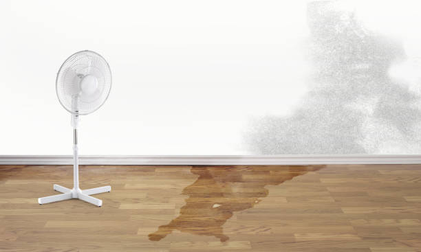 Best Water damage contractors near me  in San Jacinto, CA