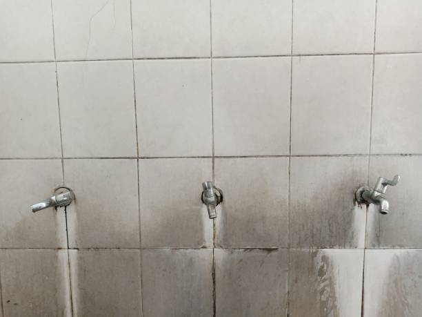 Best Flood restoration services  in San Jacinto, CA