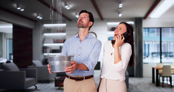 Best Water damage restoration near me  in San Jacinto, CA